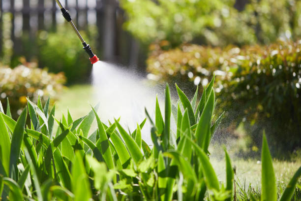 24/7 Emergency Bed Bug Control experts in Five Corners, WA